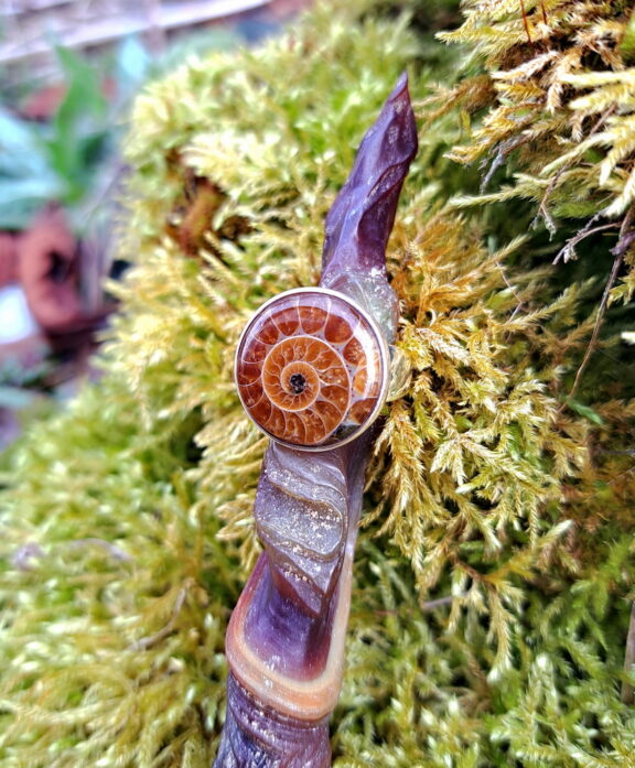 Ammonit Heilstein Ring